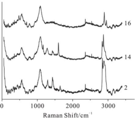 利用顯微拉曼光譜和光譜成像技術分析指紋殘留物