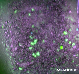 機助力海城石油化工廠礦石碎屑檢測