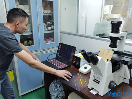 明美倒置顯微鏡應用于腦膠質(zhì)瘤細胞觀察