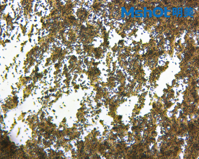 氧化鈰溶液一般用什么顯微鏡觀察？