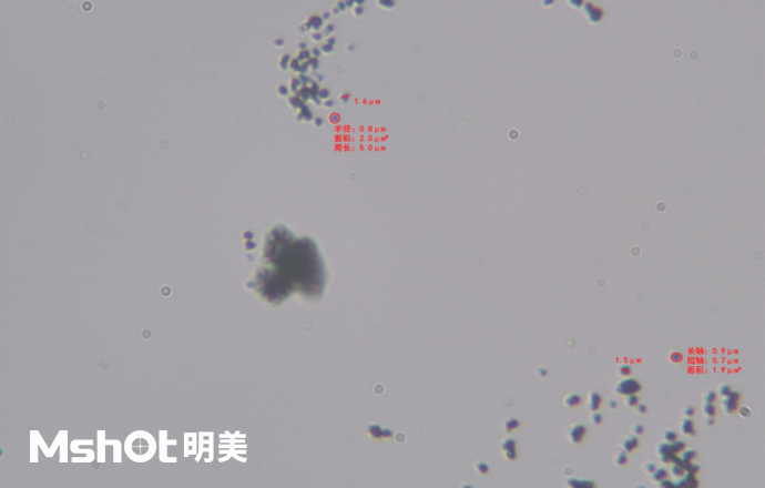 青金石用什么顯微鏡看？