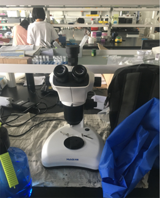 農(nóng)作物用什么顯微鏡看？