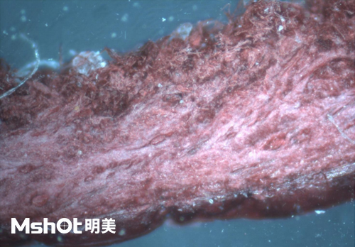 皮革質(zhì)量和真假鑒定，要用什么顯微鏡？