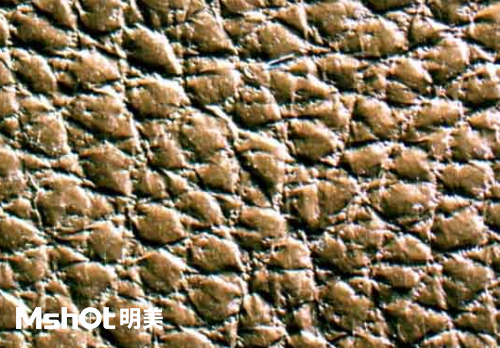 皮革質(zhì)量和真假鑒定，要用什么顯微鏡？