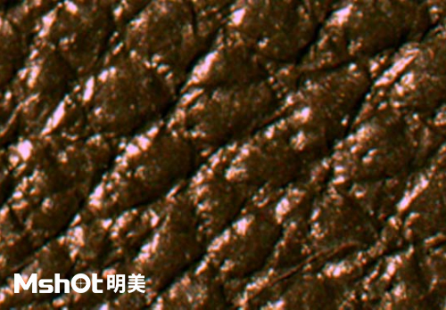 皮革質(zhì)量和真假鑒定，要用什么顯微鏡？