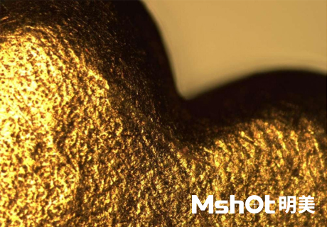 國產(chǎn)生物顯微鏡搭配顯微鏡相機觀察到乳酸菌