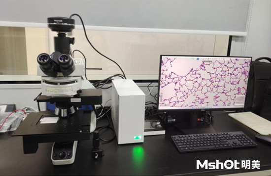 數(shù)字切片掃描儀應用于病理學