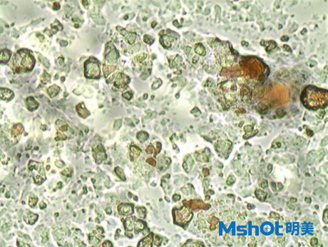 巧克力在顯微鏡下長什么樣子？