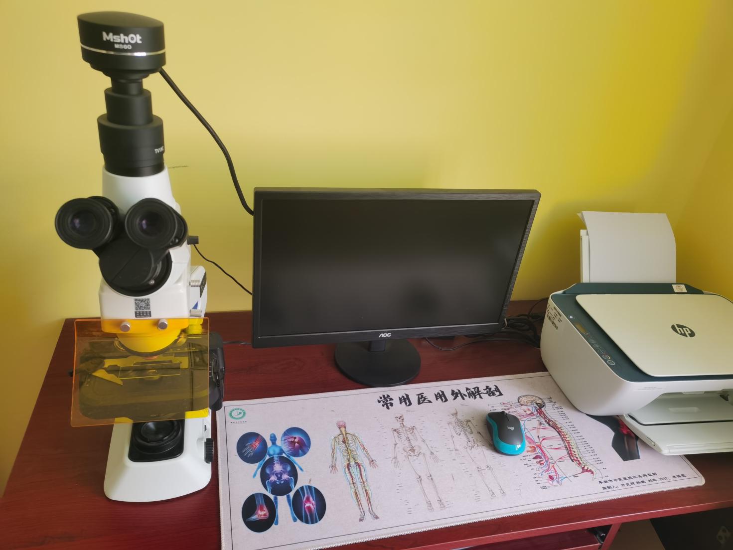 熒光顯微鏡下的螨蟲|應用百科