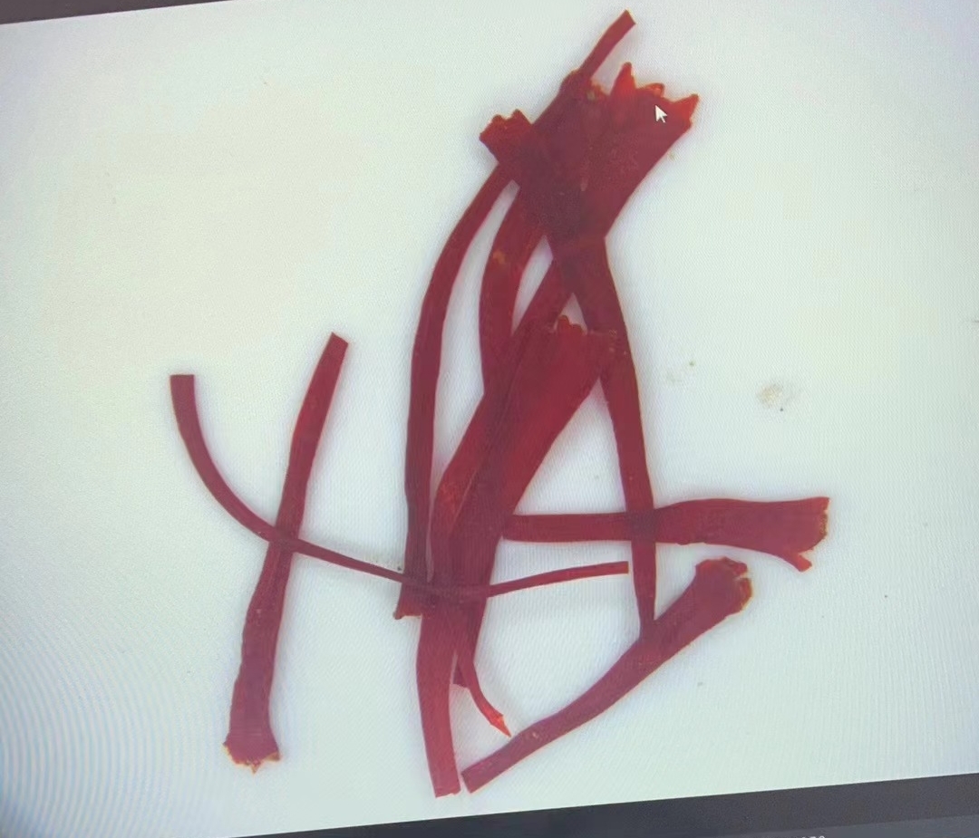 體視顯微鏡用于辨別藏紅花品質(zhì)|應用百科