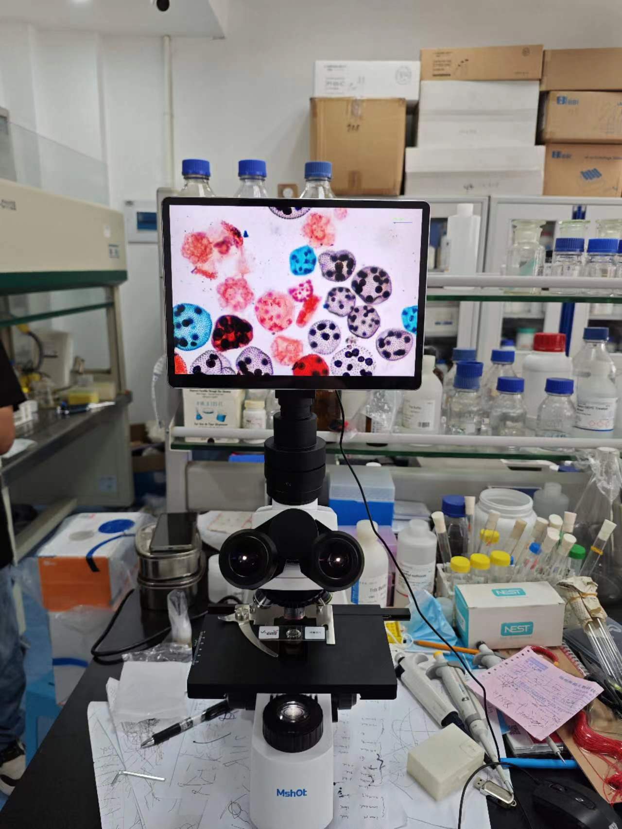 生物顯微鏡下的水質(zhì)檢測|應用百科