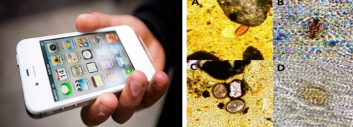 �����֙C(j��)����(j��)�锵(sh��)�a�@΢�R