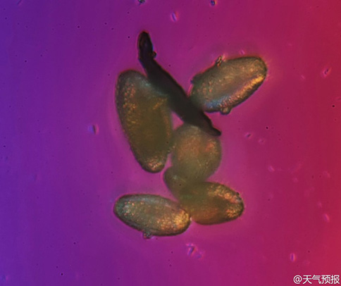 �@΢�R�µı����F���w��