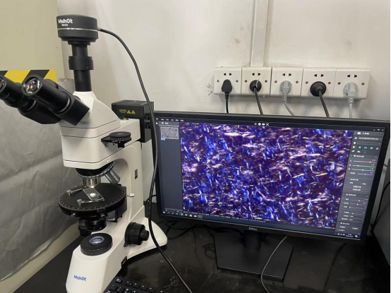 觀察高分子材料領域，通常使用什么顯微鏡？|應用百科