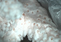 ɺ���Ĕz�D�@΢�DƬ