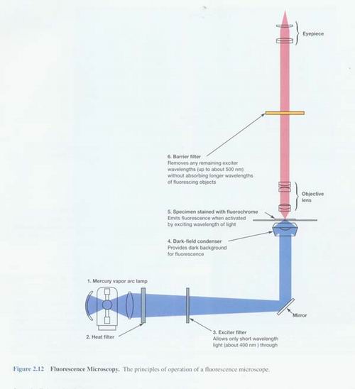 �ɹ��@΢�R|�@΢�R�z���^|�@΢�R�ӿڽY(ji��)��(g��u)�D