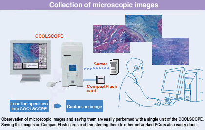 熒光顯微鏡|顯微鏡攝像頭|顯微鏡接口結(jié)構(gòu)圖